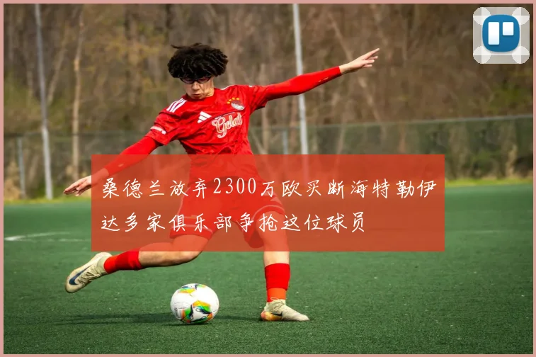 桑德兰放弃2300万欧买断海特勒伊达多家俱乐部争抢这位球员